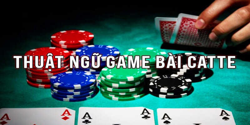 Kinh Nghiệm Chơi Bài Catte Hiệu Quả