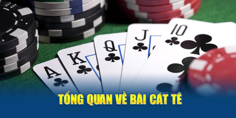 Catte – Trò Chơi Bài Căng Não Có Gì Hấp Dẫn Đến Vậy?