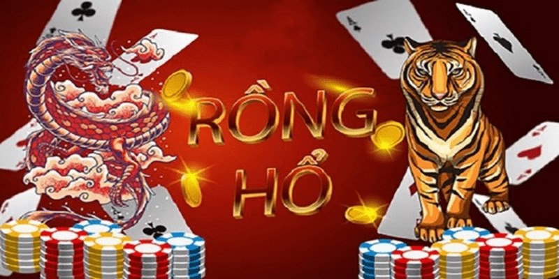 Các loại cược phổ biến trong RỒNG HỔ
